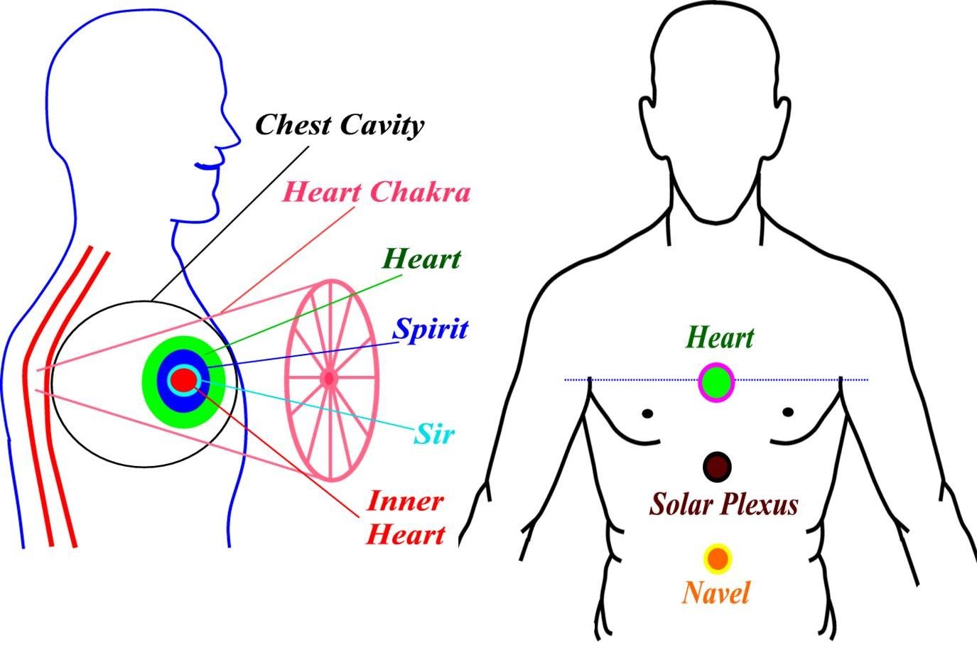 Spiritual Heart and Heart Chakra
